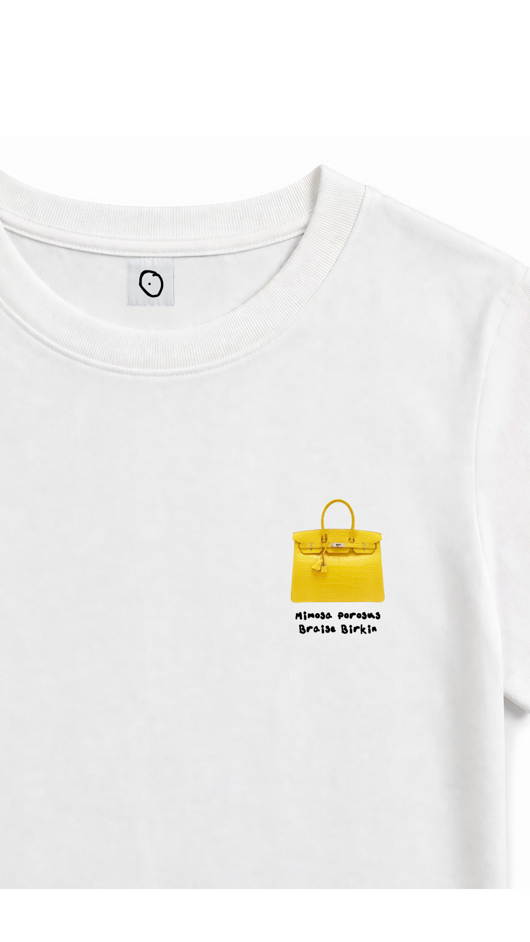 Mimosa Porosus Braise Birkin